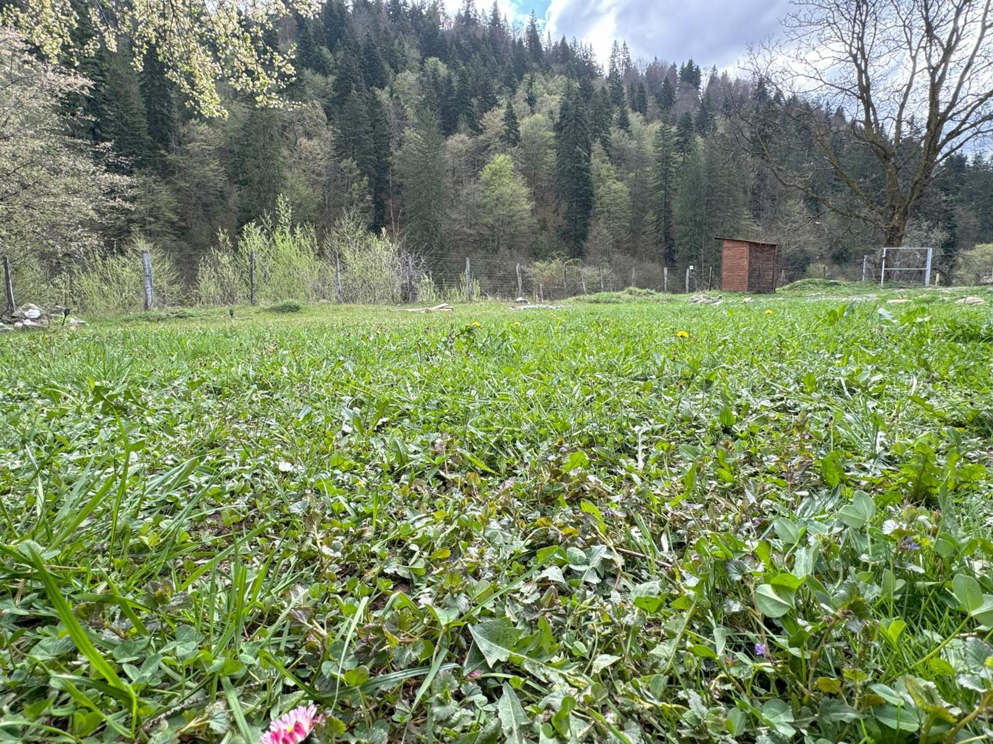 Tarcau Kub Villa Cazaci Eksteriør bilde