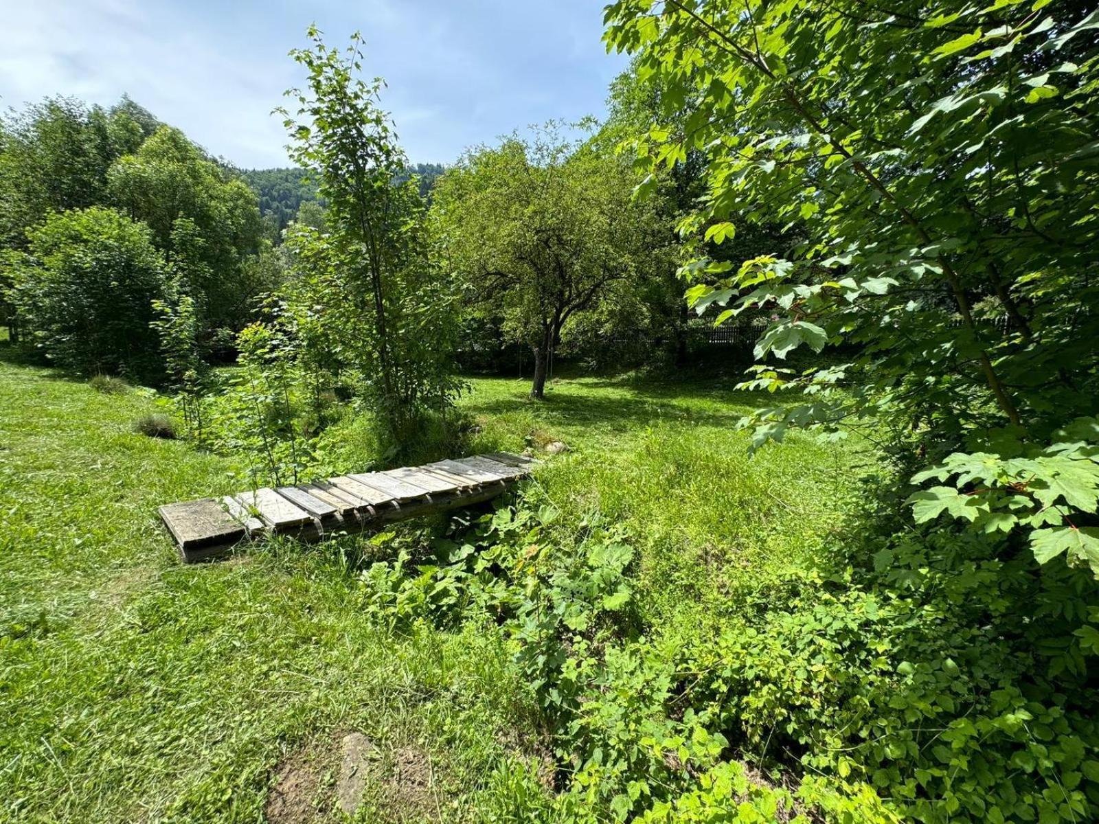 Tarcau Kub Villa Cazaci Eksteriør bilde